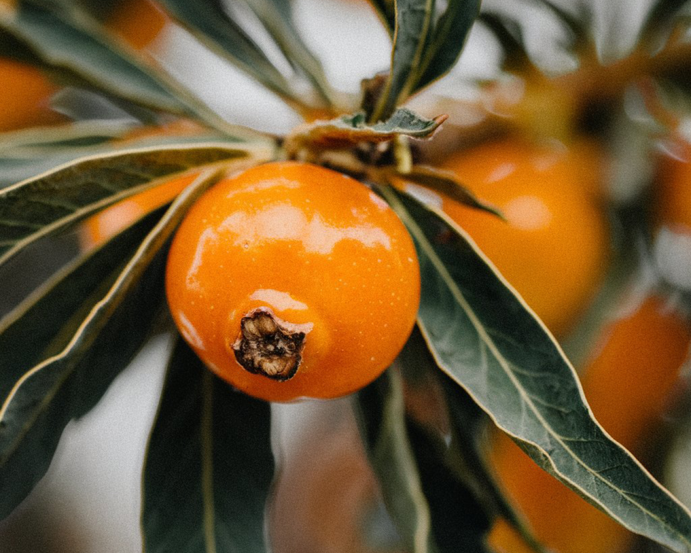The Best Supplement for Glowing Skin From Within: What Actually Works in 2026