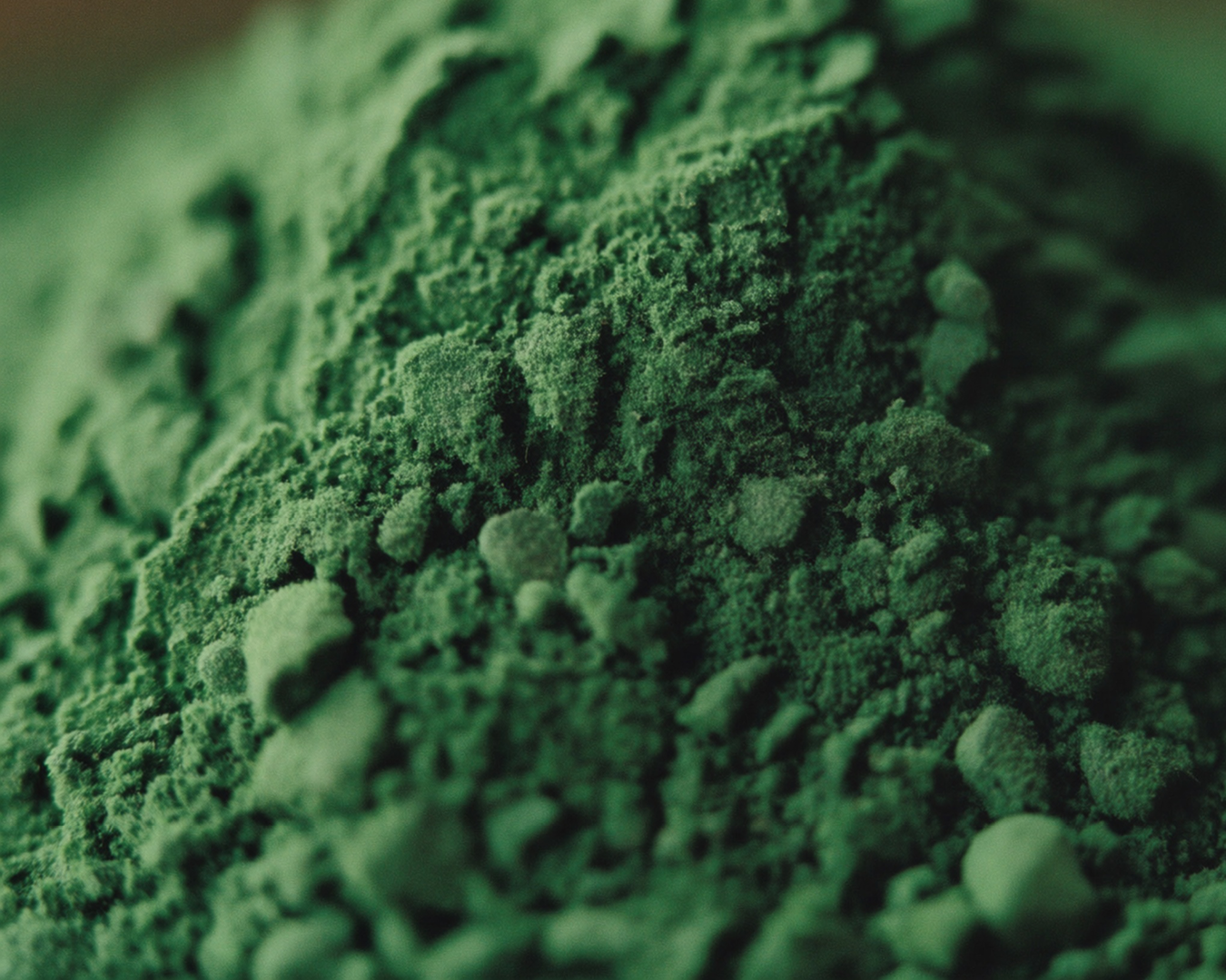 A Conversation With Spirulina