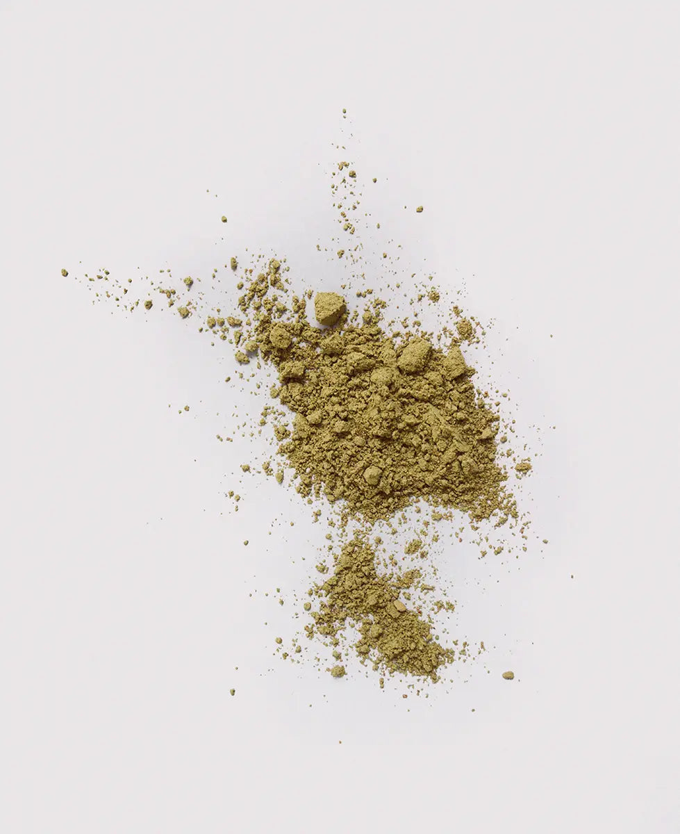 neoNutritions® Ultimate Foundation - Organic Superfood Powder for Daily Vitality
