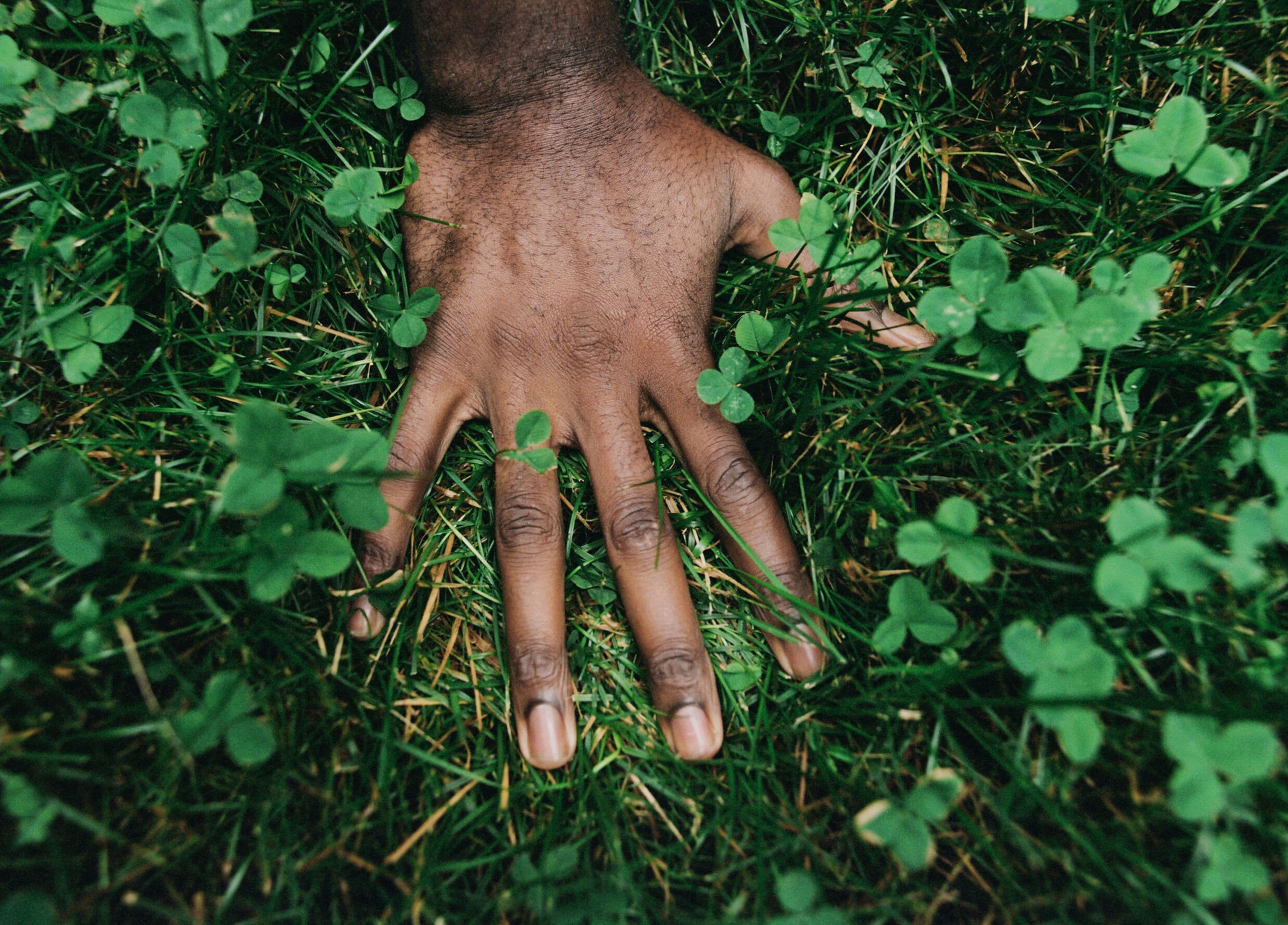 hand in clover