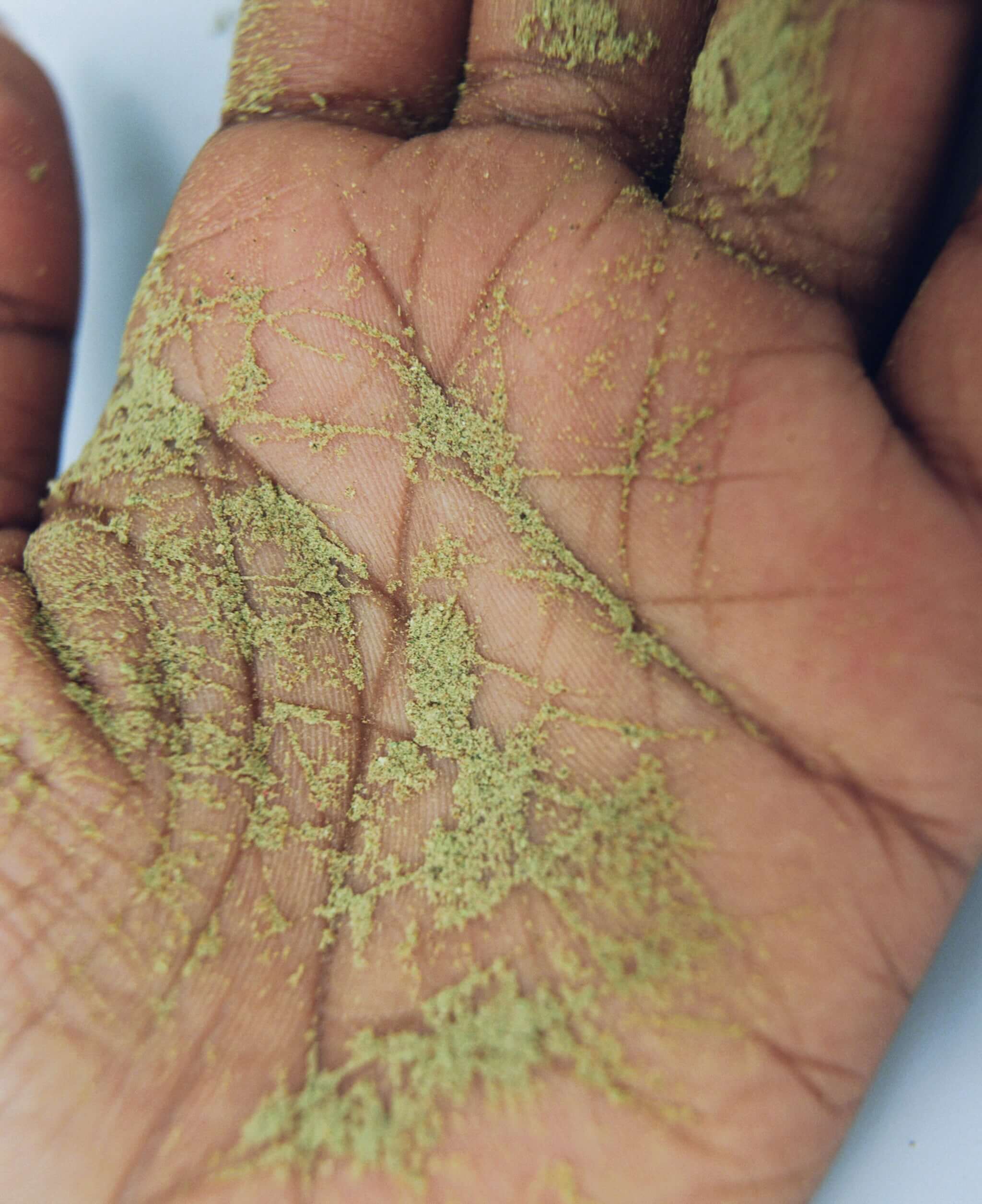 neoNutritions® Ultimate Foundation - Organic Superfood Powder for Daily Vitality (30-count)